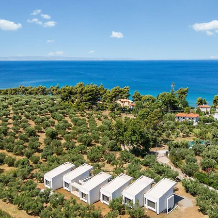 Olea Villas By Halu!, Cozy Villa In Nikiti Lagomandra Ngoại thất bức ảnh