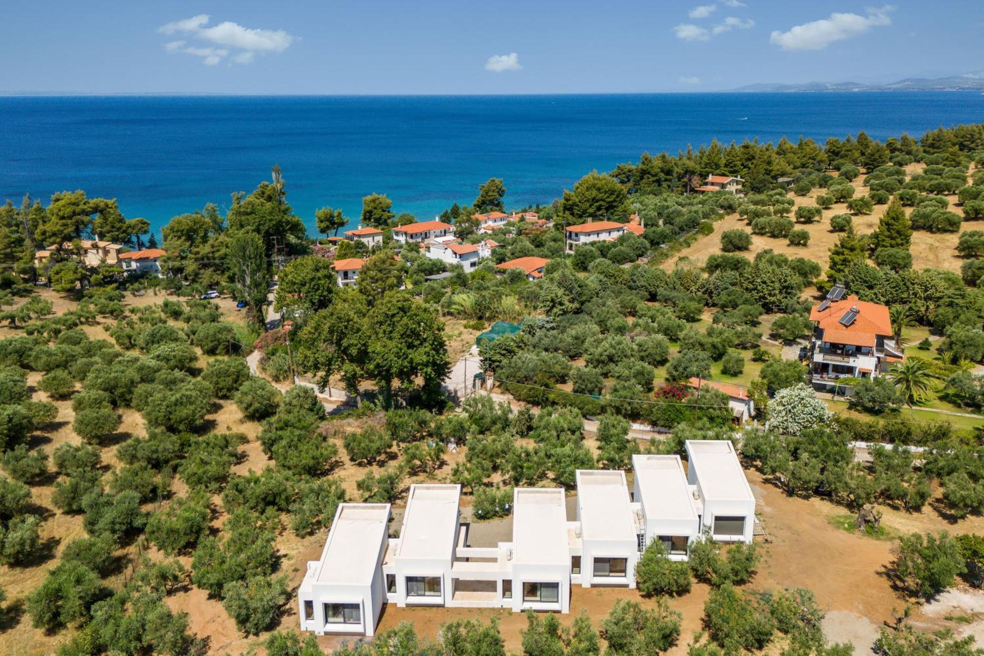 Olea Villas By Halu!, Cozy Villa In Nikiti Lagomandra Ngoại thất bức ảnh